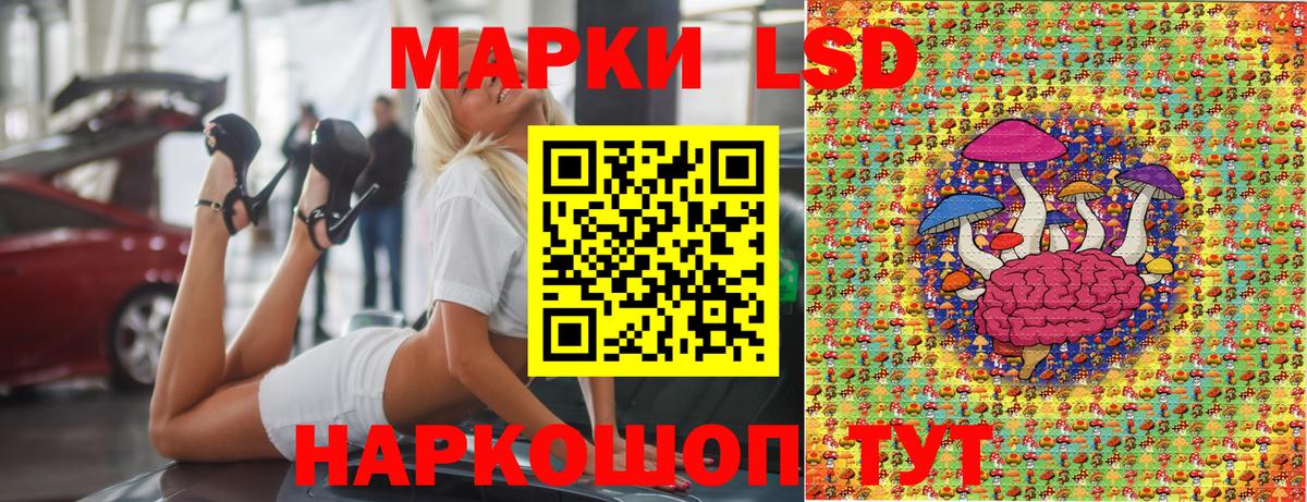 где купить наркотик  Марки N-bome 1,5мг  Ноябрьск  Марки N-bome 1,5мг  Наркотические марки 