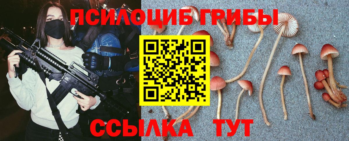 Галлюциногенные грибы Magic Shrooms  Ноябрьск  Галлюциногенные грибы ЛСД 