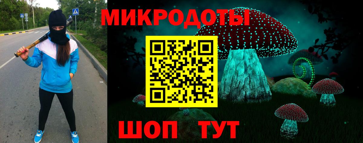 Псилоцибиновые грибы Psilocybe Ноябрьск